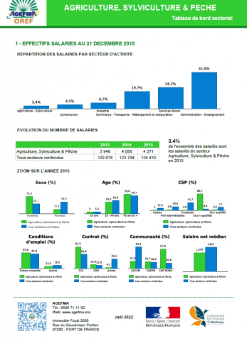 Rapport_12